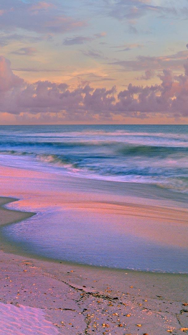 日出时的海滩，海湾岛国家海岸，佛罗里达，美国 (© Tim Fitzharris/Minden Pictures)