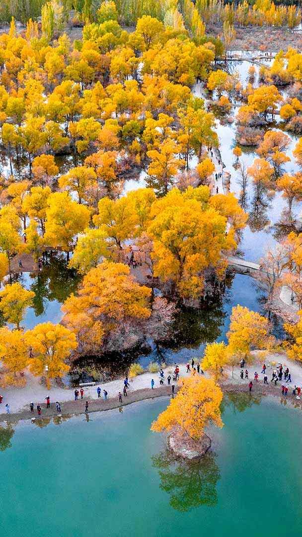 被胡杨树围绕着的湖, 金塔县, 酒泉, 甘肃, 中国 (© Feng Wei Photography/Getty images)