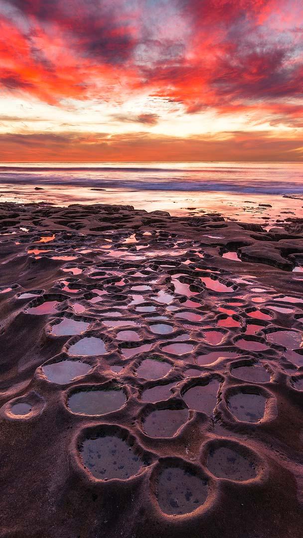 Tide pools in La Jolla, California, United States (© Andrew Shoemaker/DanitaDelimont.com)