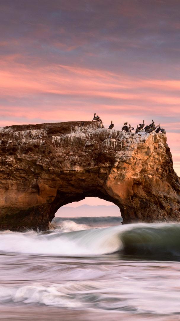 Natural Bridges State Park in Santa Cruz, Kalifornien (© Jim Patterson/Tandem Stills + Motion)