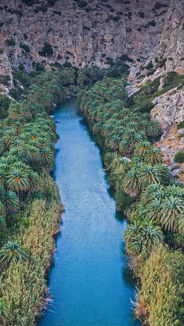 Palmenhain in der Schlucht von Preveli, Kreta, Griechenland (© borchee/Getty Images)