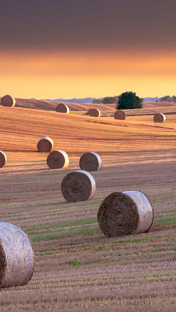 Heuballen, North Yorkshire, England (© Nick Brundle Photography/Getty Images)