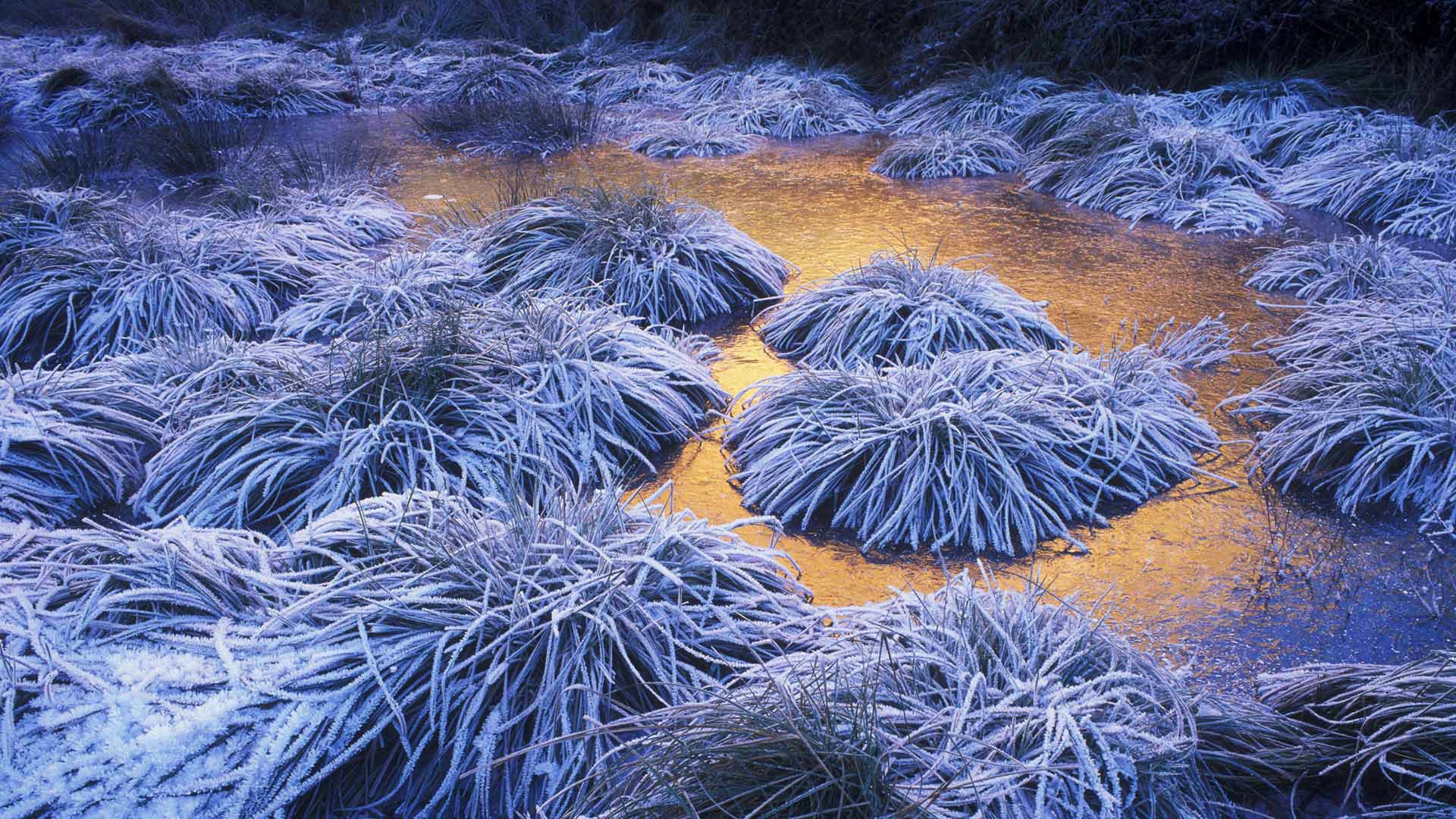 红山绿野