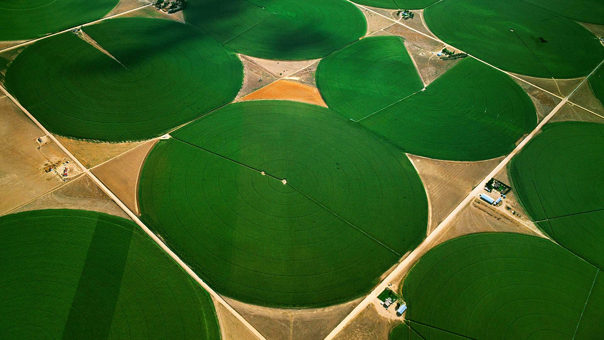 圆形农田，科罗拉多州摩根县 
