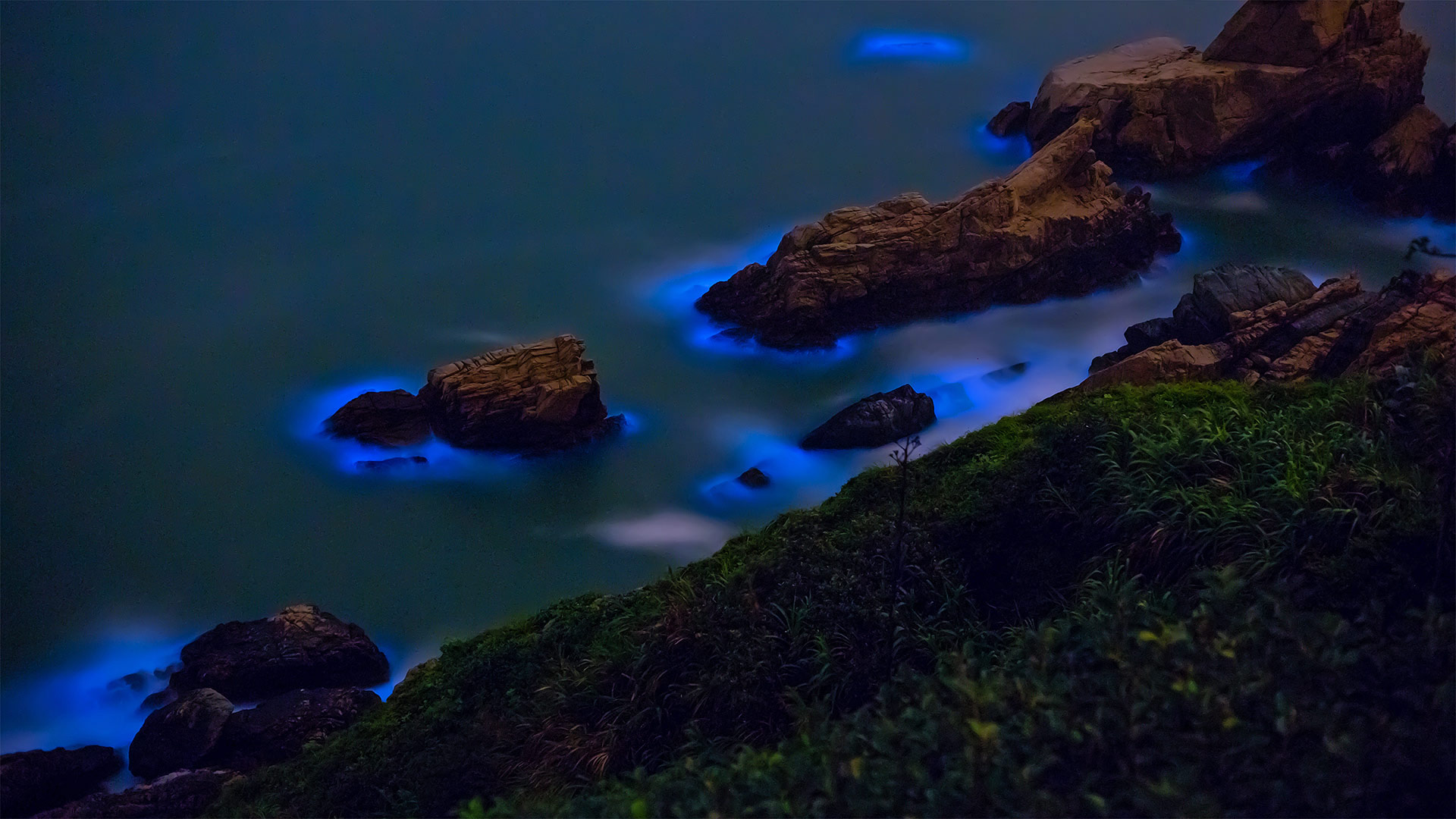 台湾妈祖群岛沿岸的发光藻类 