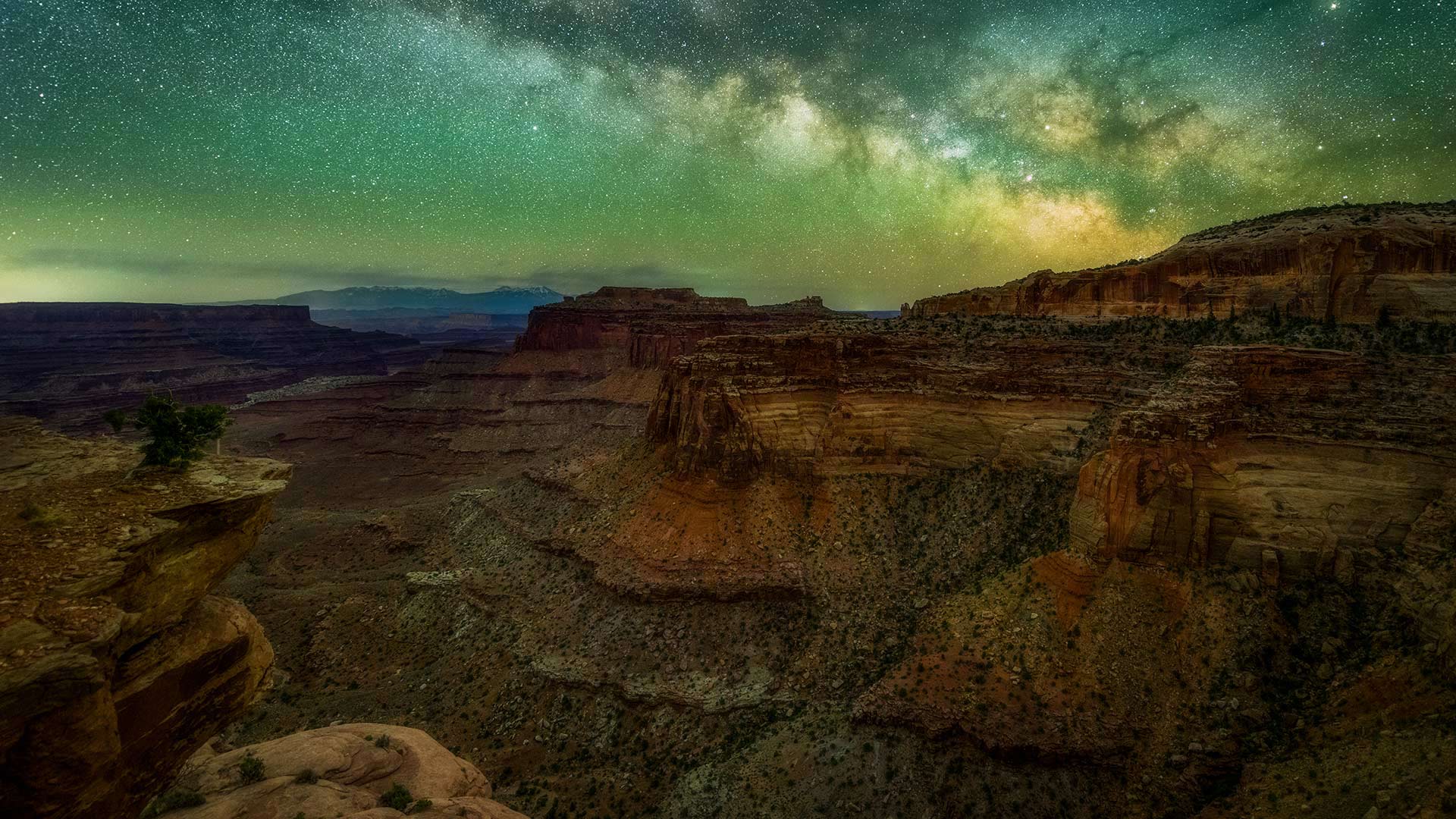 在犹他州峡谷地国家公园中看到的银河 