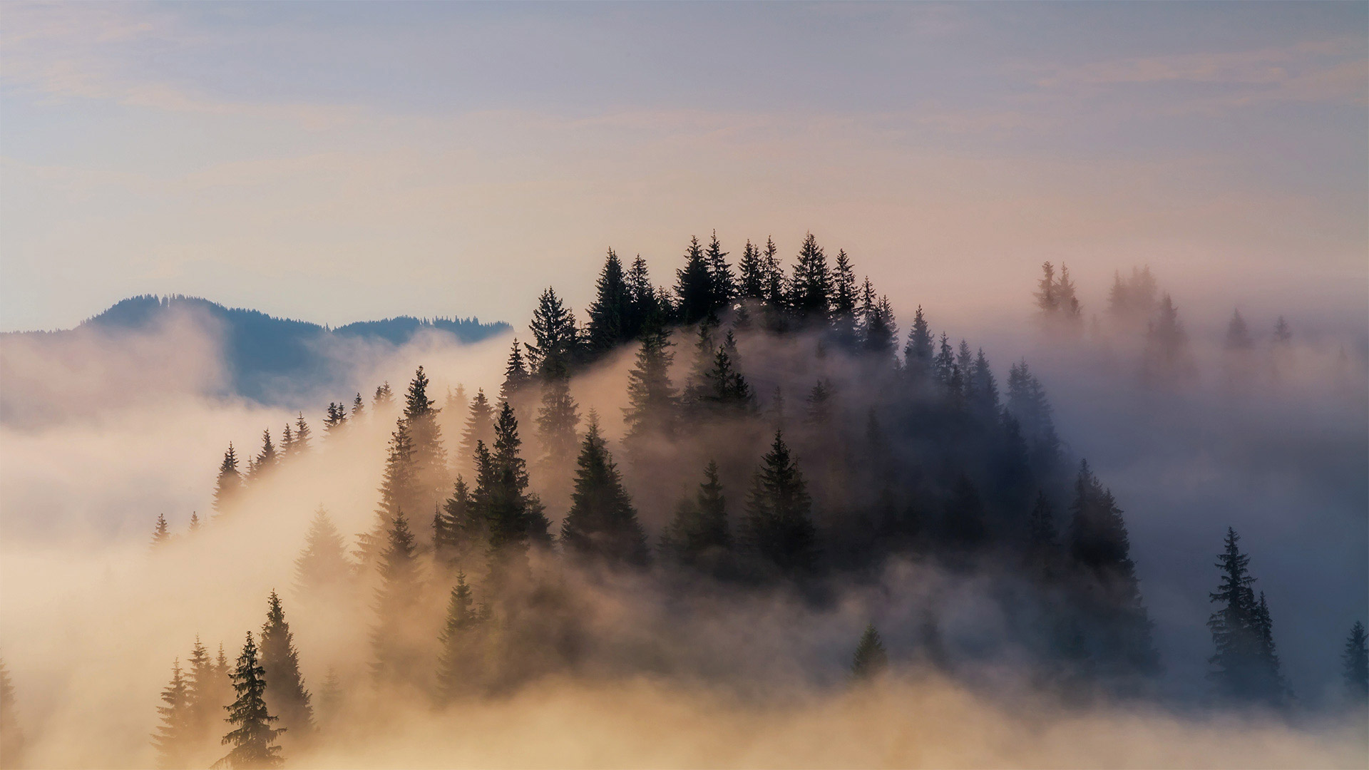 大雾笼罩下的巴伐利亚阿尔卑斯山脉，德国 