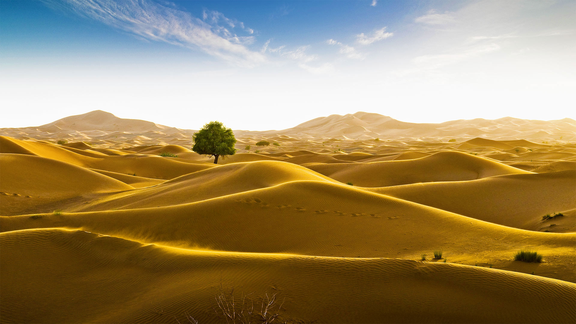 位于阿曼和迪拜酋长国边界的鲁卜哈利沙漠 
