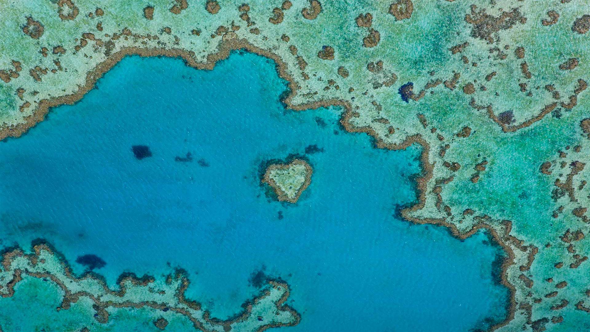 属于大堡礁的一部分的心形礁，澳大利亚昆士兰 