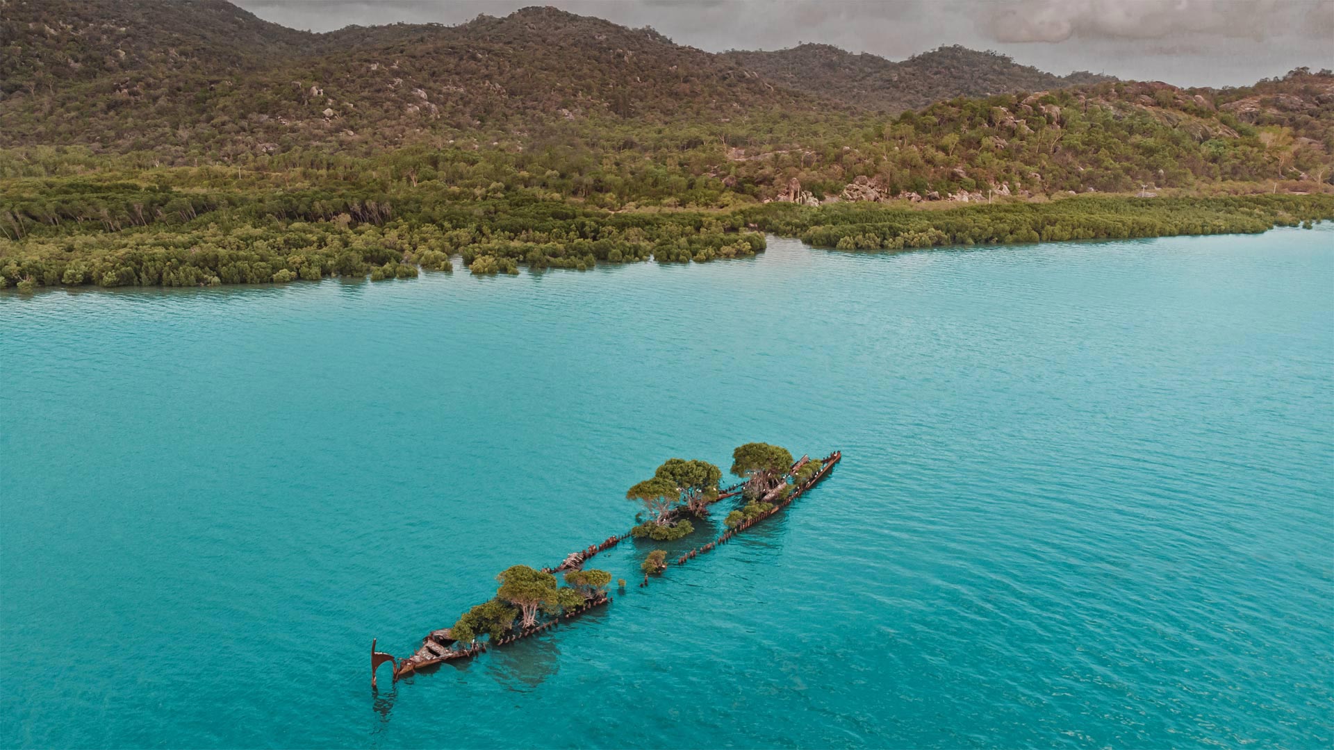 航拍生长着树木的遇难船“阿德莱德市”残骸，澳大利亚磁岛 