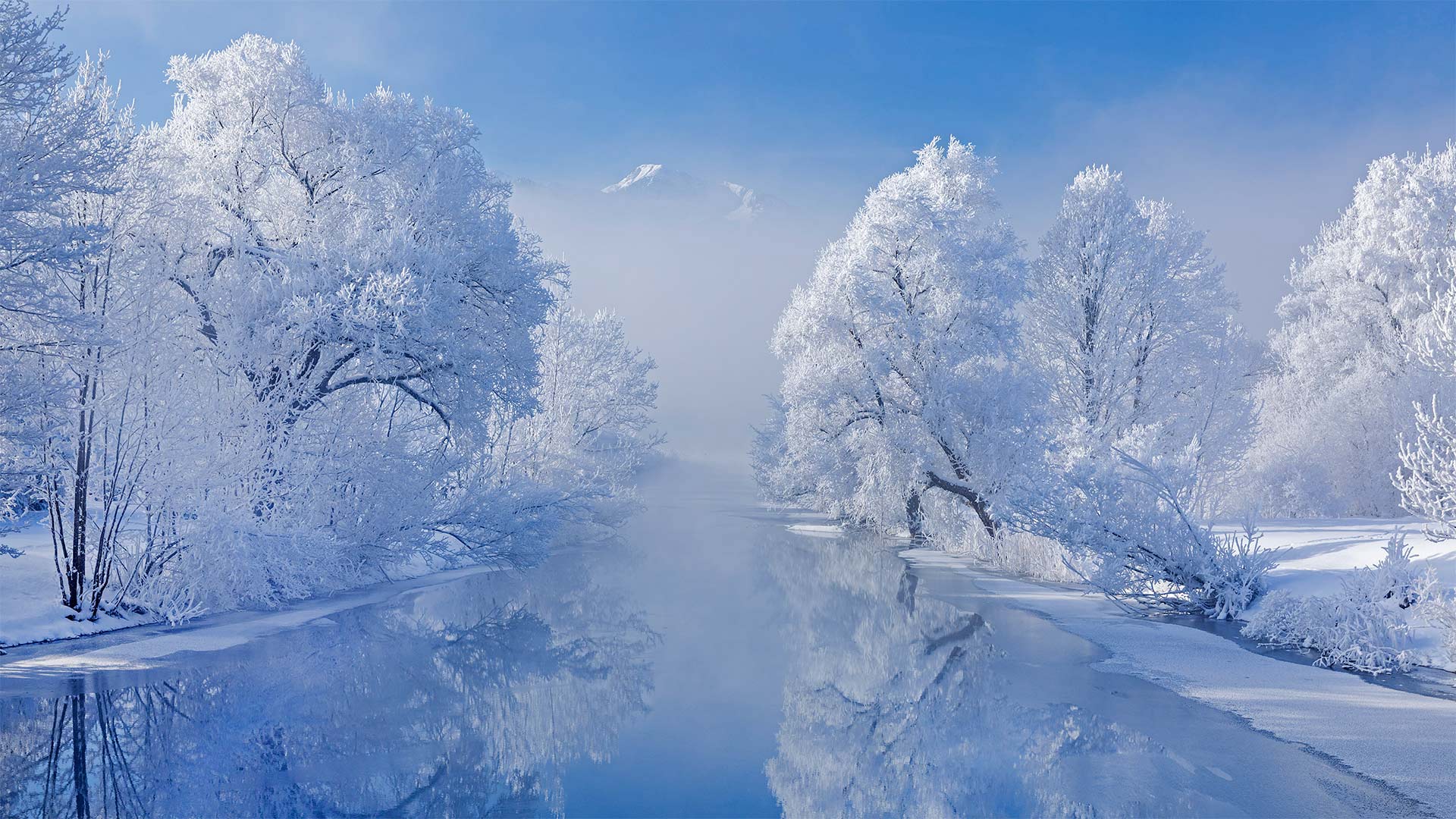 冬日里的科赫尔湖，德国巴伐利亚州 
