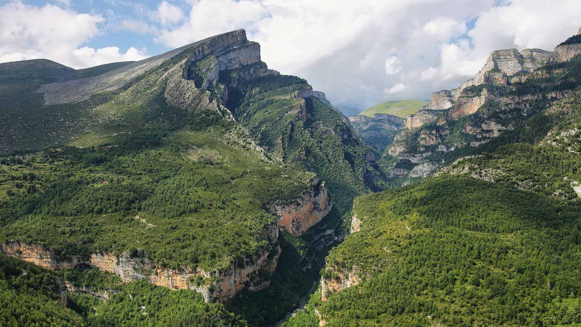 一路到顶峰