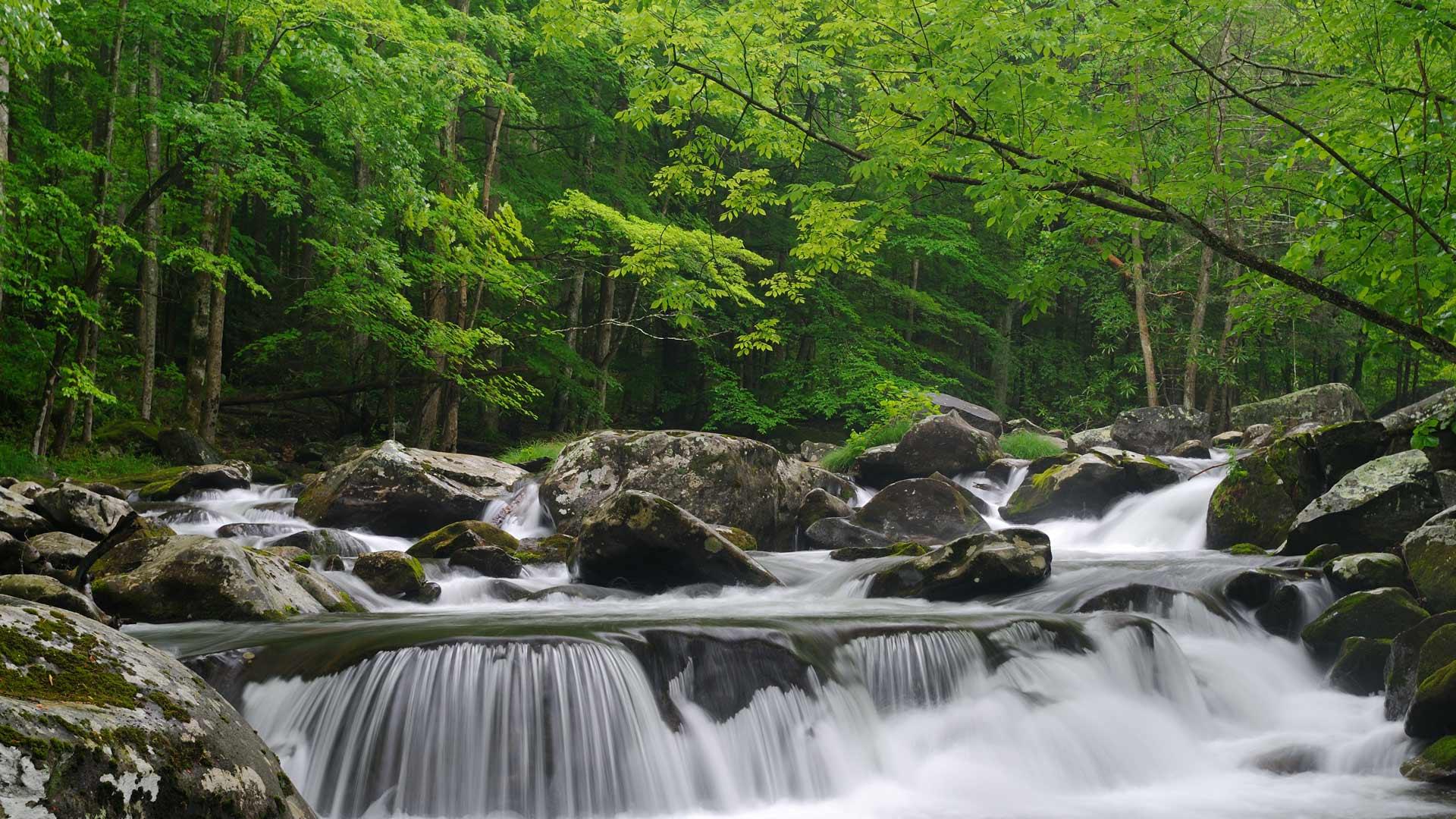 Flowing through the Smokies