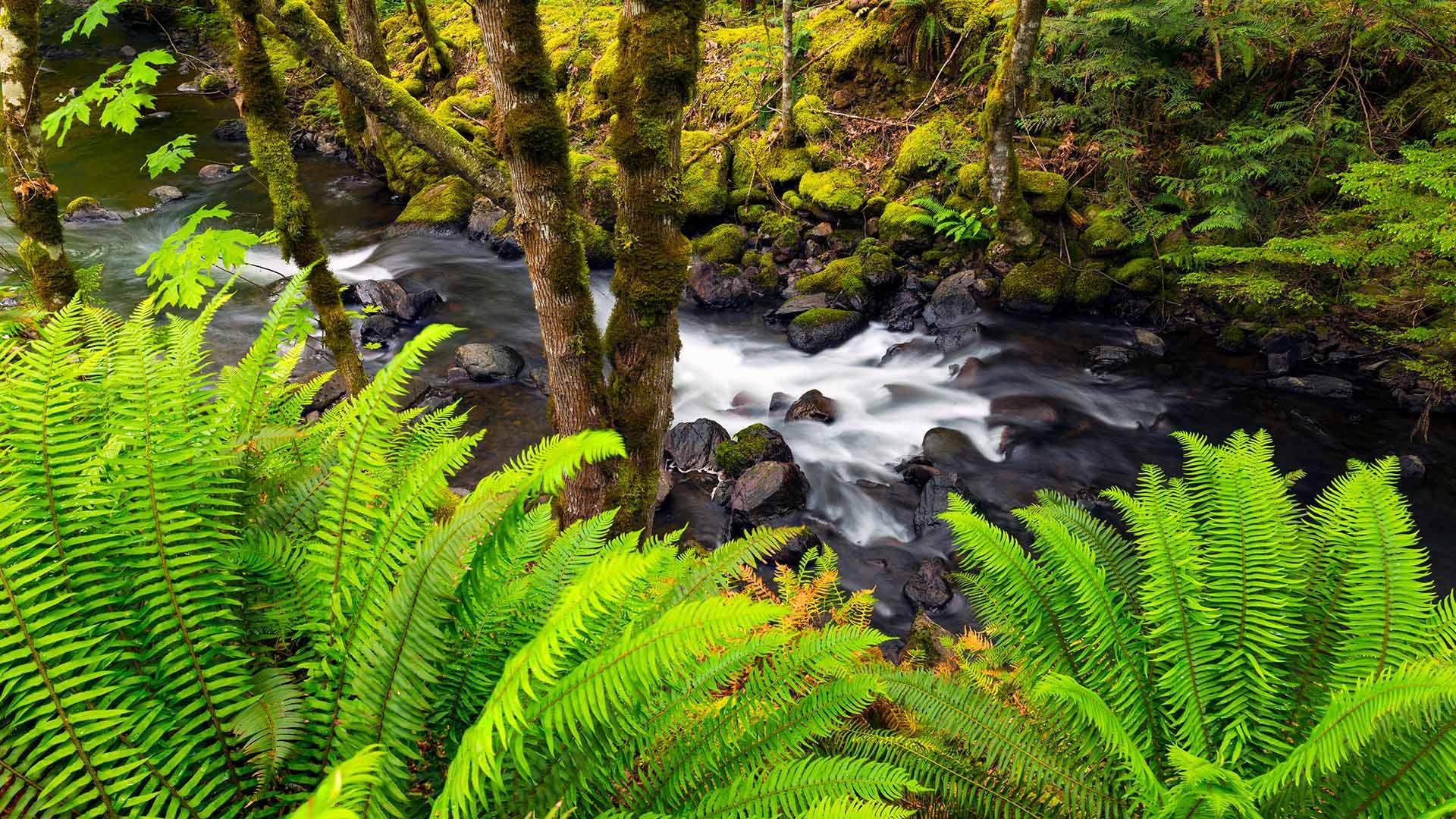 Fresh finds in Fraser Valley