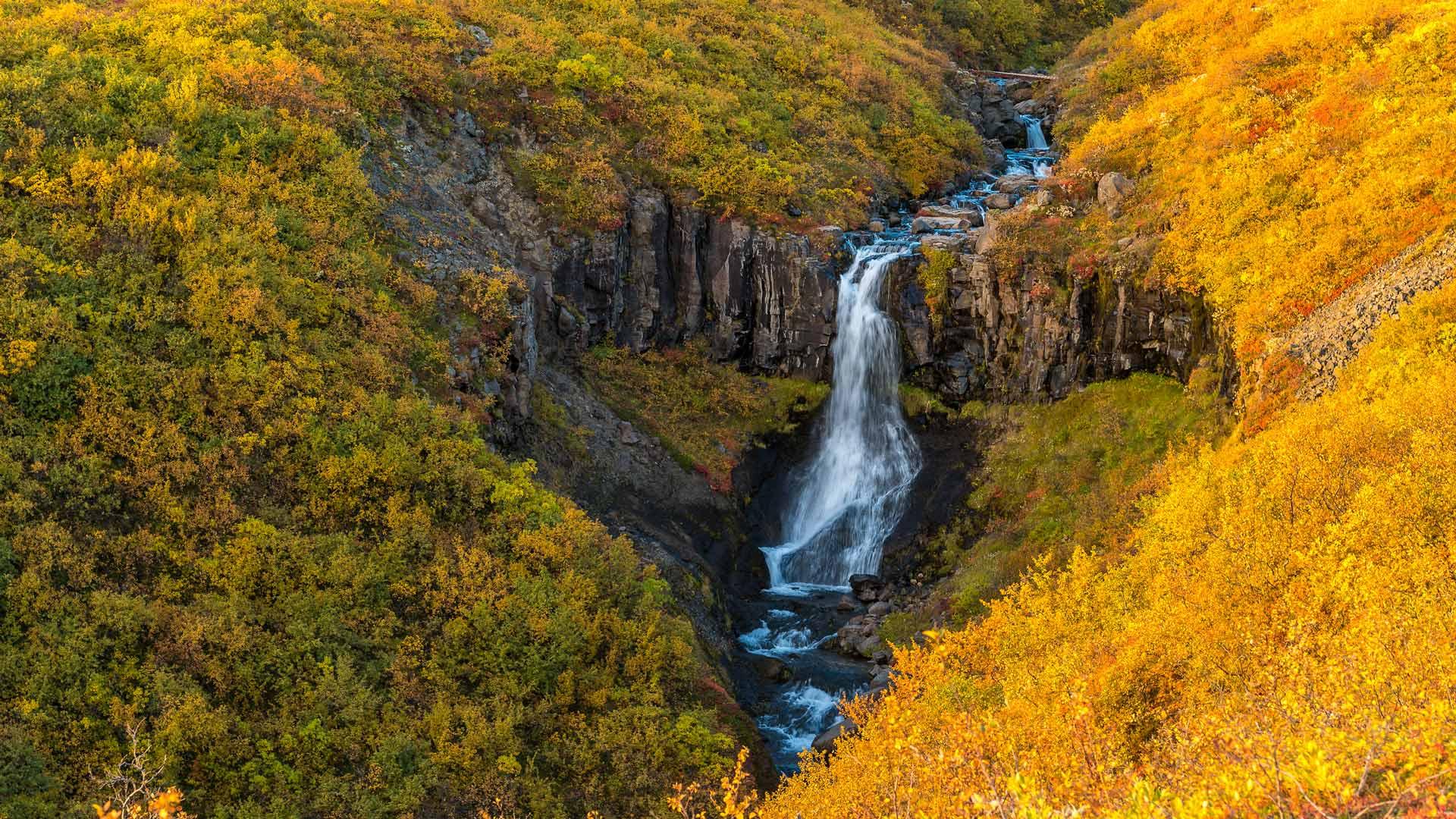 Wasserfall im Herbstlicht