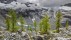 【2018-10-02】 湖光山色的喃喃细语 北瀑布国家公园内的Ouzel湖，美国华盛顿州 (© Ethan Welty)