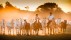 【2018-07-09】 骑马游行的盛大派对 在圣安东尼奥·德阿雷科小镇举办的高乔民俗节，阿根廷布宜诺斯艾利斯省 (© Eliseo Miciu)