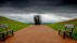 【2018-07-18】 发现美的眼睛 艺术家马可·契亚法奈利设计的纳尔逊·曼德拉纪念雕塑，南非豪伊克 (© Andy Trevaskis/Alamy Stock Photo)