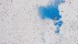 【2018-10-03】 帝王之舞 生生不息 黑脉金斑蝶大迁徙，墨西哥米却肯州 (© Alejandro Prieto/Minden Pictures)
