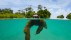 【2018-07-05】 树懒一样的慢生活 正在埃斯库多-德贝拉瓜斯岛附近游泳的侏三趾树懒，巴拿马 (© Suzi Eszterhas/Minden Pictures)