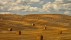 【2018-09-04】 现实中的莫奈油画 意大利托斯卡纳的干草垛 (© Chris Ryan/plainpicture)