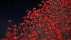 【2018-11-11】 每个生命都值得被缅怀 帝国战争博物馆北馆内的装置艺术‘Blood Swept Lands and Seas of Red’，英国曼彻斯特 (© Christopher Furlong/Getty Images)