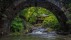 【2022-06-16】 韩国仙岩寺 仙岩寺中的升仙桥，韩国曹溪山道立公园 (© Aaron Choi/Getty Images)