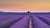 【2022-06-27】 法国普罗旺斯高原的薰衣草田地 普罗旺斯瓦朗索勒高原上的薰衣草田，法国 (© Shutterstock)